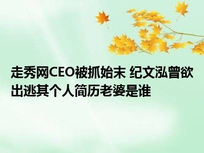 走秀网CEO被抓始末 纪文泓曾欲出逃其个人简历老婆是谁