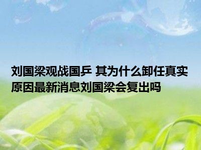 刘国梁观战国乒 其为什么卸任真实原因最新消息刘国梁会复出吗