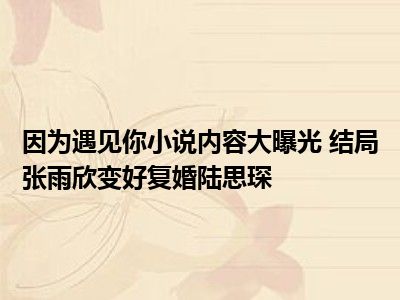 因为遇见你小说内容大曝光 结局张雨欣变好复婚陆思琛