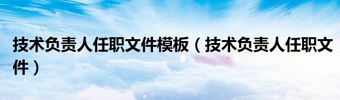  技术负责人任职文件模板（技术负责人任职文件）