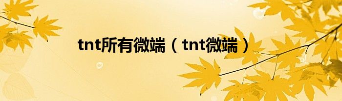  tnt所有微端（tnt微端）