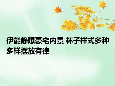 伊能静曝豪宅内景 杯子样式多种多样摆放有律