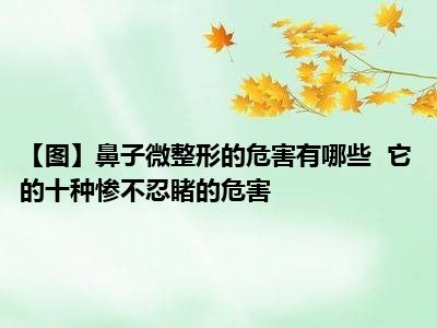 【图】鼻子微整形的危害有哪些  它的十种惨不忍睹的危害