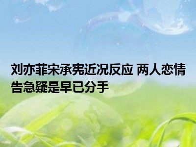 刘亦菲宋承宪近况反应 两人恋情告急疑是早已分手