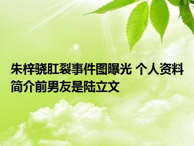 朱梓骁肛裂事件图曝光 个人资料简介前男友是陆立文