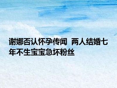 谢娜否认怀孕传闻  两人结婚七年不生宝宝急坏粉丝