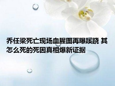 乔任梁死亡现场血腥图再曝蹊跷 其怎么死的死因真相爆新证据