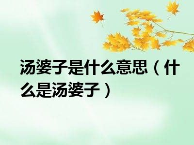 汤婆子是什么意思（什么是汤婆子）