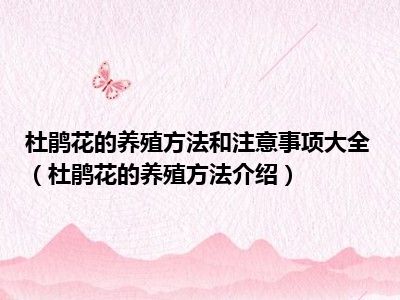 杜鹃花的养殖方法和注意事项大全（杜鹃花的养殖方法介绍）