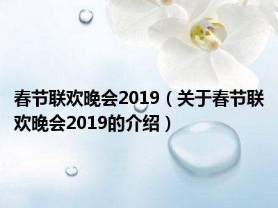 春节联欢晚会2019（关于春节联欢晚会2019的介绍）