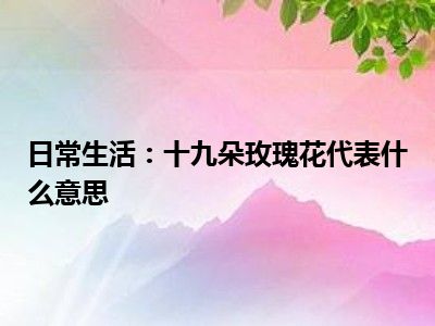 日常生活：十九朵玫瑰花代表什么意思