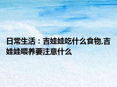 日常生活：吉娃娃吃什么食物 吉娃娃喂养要注意什么