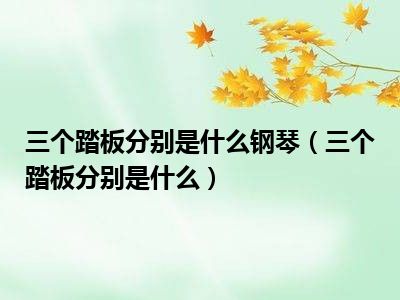 三个踏板分别是什么钢琴（三个踏板分别是什么）