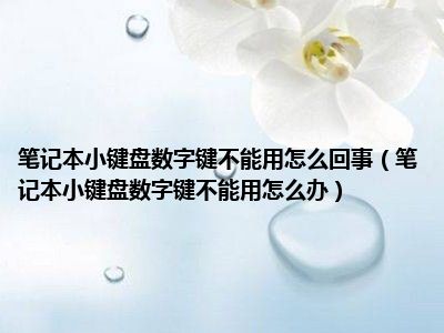 笔记本小键盘数字键不能用怎么回事（笔记本小键盘数字键不能用怎么办）