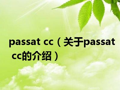 passat cc（关于passat cc的介绍）