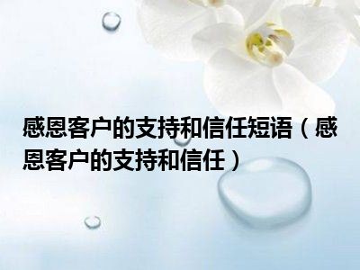 感恩客户的支持和信任短语（感恩客户的支持和信任）