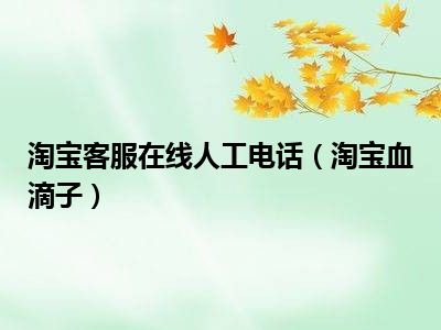 淘宝客服在线人工电话（淘宝血滴子）