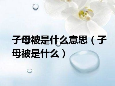 子母被是什么意思（子母被是什么）