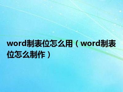 word制表位怎么用（word制表位怎么制作）