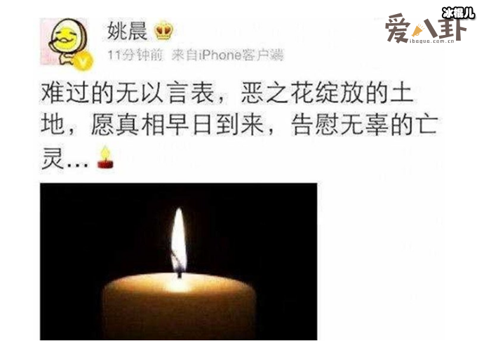 姚晨个人经历起底 网友：恶评杀手！