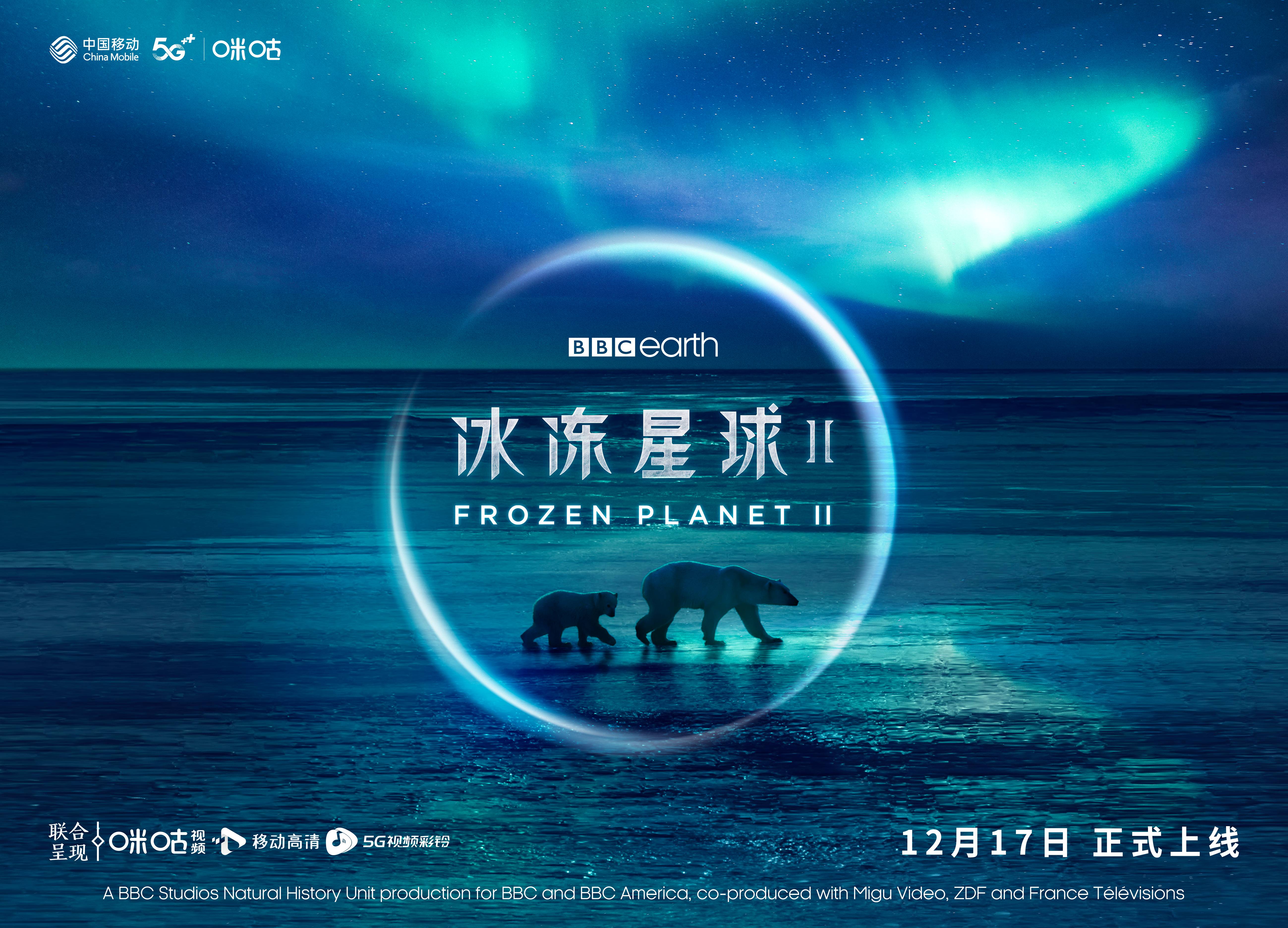 BBC Earth星球系列年度巨献《冰冻星球II》12月17日上线 汉斯·季默倾力打造原声配乐(图7)