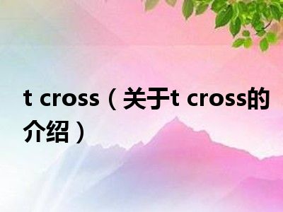 t cross（关于t cross的介绍）