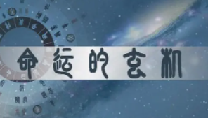 2023横财入命的四大生肖 谁有流年的进财优势