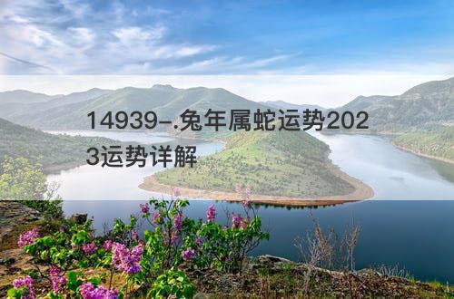 兔年属蛇运势2023运势详解