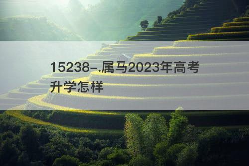 属马2023年高考升学怎样