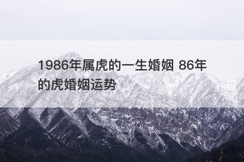 1986年属虎的一生婚姻 86年的虎婚姻运势