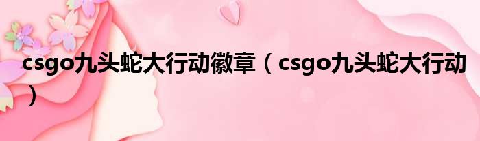 csgo九头蛇大行动徽章（csgo九头蛇大行动）