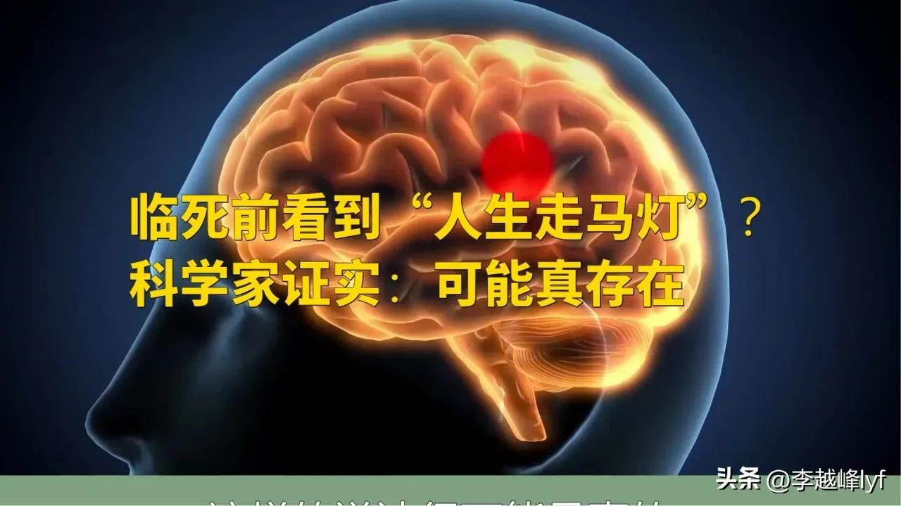 如果人死后真的有走马灯这个环节是什么意思（走马灯是什么意思网络用语）(图2)