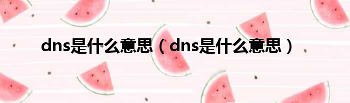 dns是什么意思（dns是什么意思）