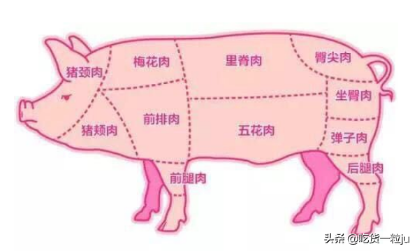 买猪肉里脊肉怎么选（里脊肉在菜市场怎么叫卖的）(图3)