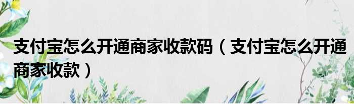 支付宝怎么开通商家收款码（支付宝怎么开通商家收款）