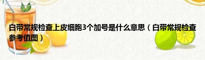 白带常规检查上皮细胞3个加号是什么意思（白带常规检查参考值图）