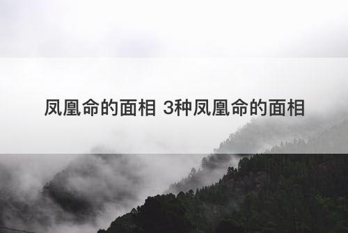 凤凰命的面相 3种凤凰命的面相