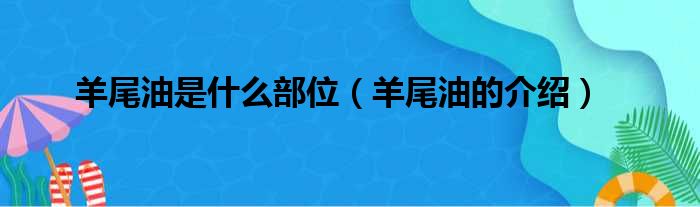 羊尾油是什么部位（羊尾油的介绍）