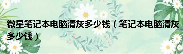 微星笔记本电脑清灰多少钱（笔记本电脑清灰多少钱）