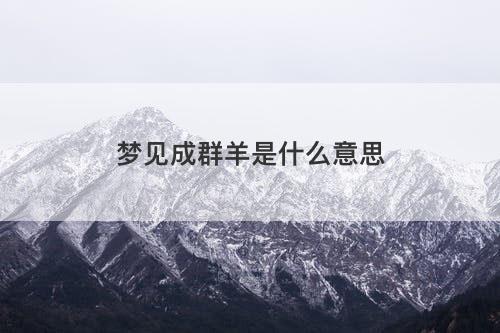 梦见成群羊是什么意思