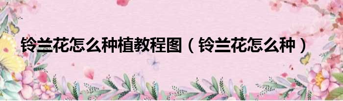 铃兰花怎么种植教程图（铃兰花怎么种）