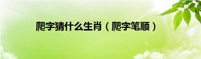 爬字猜什么生肖（爬字笔顺）