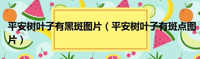 平安树叶子有黑斑图片（平安树叶子有斑点图片）