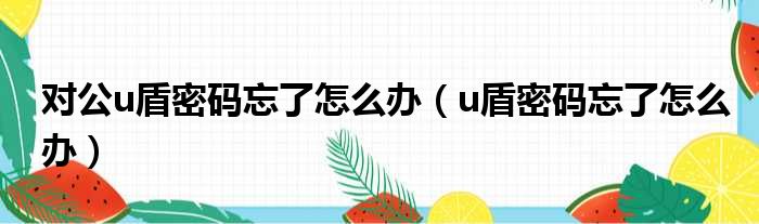 对公u盾密码忘了怎么办（u盾密码忘了怎么办）