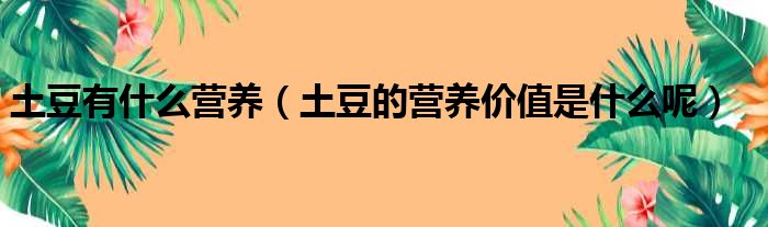 土豆有什么营养（土豆的营养价值是什么呢）