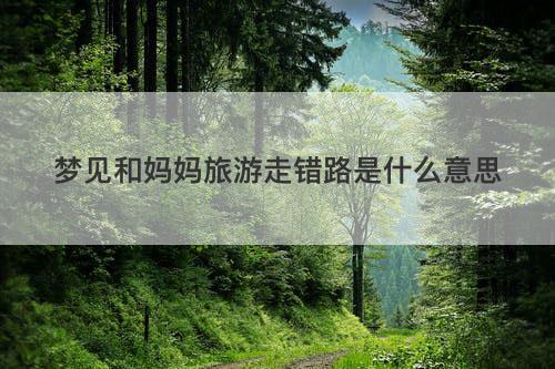 梦见和妈妈旅游走错路是什么意思