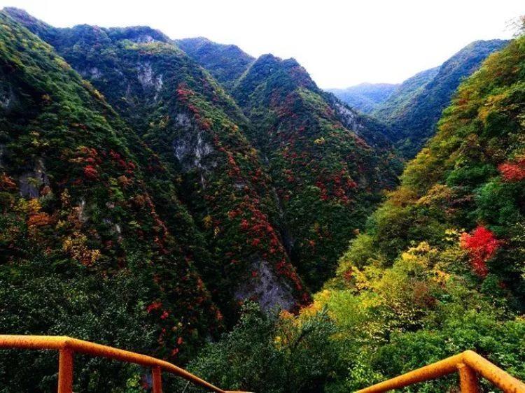 襄阳景点介绍襄阳旅游景点（湖北襄阳旅游景点大全）(图11)