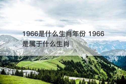 1966是什么生肖年份 1966是属于什么生肖