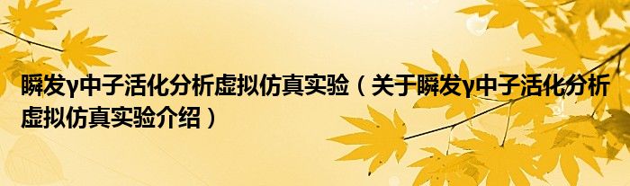  瞬发γ中子活化分析虚拟仿真实验（关于瞬发γ中子活化分析虚拟仿真实验介绍）