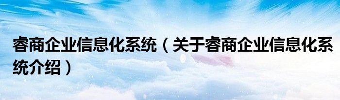  睿商企业信息化系统（关于睿商企业信息化系统介绍）